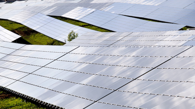 Le Solaire Photovoltaique En Chiffres Edf France
