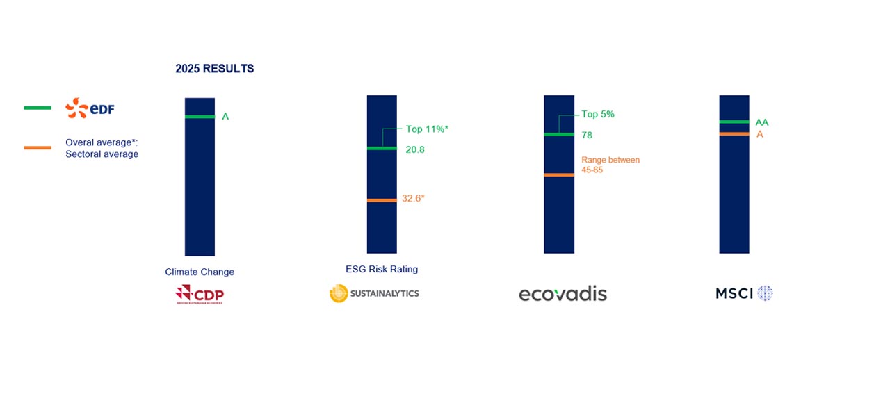 ESG rating agency graph (text transcript below)