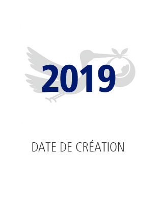 2019