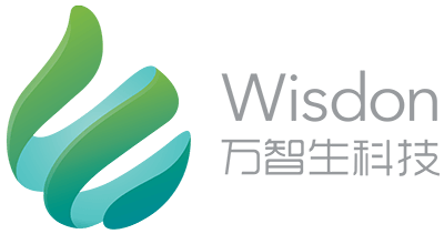 Logo Wisdon Technology