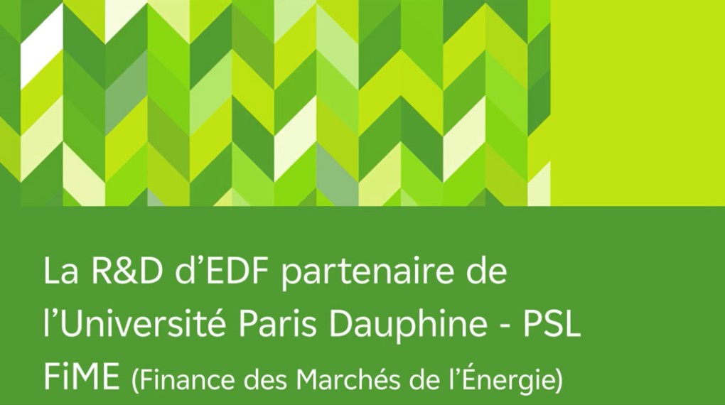Vignette de la vidéo La R&D d'EDF partenaire de l'Université Paris Dauphine - PSL FiME
