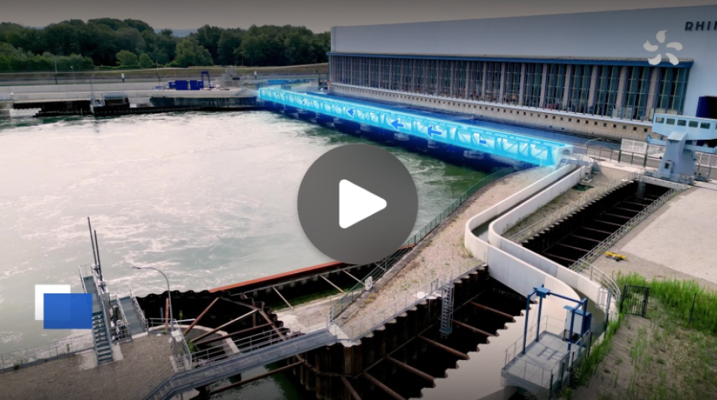 Vue cheminement des poissons