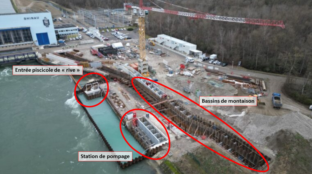 Zoom sur la Rive Gauche