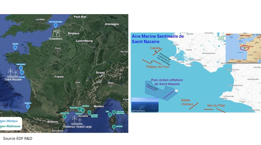13 aires maritimes