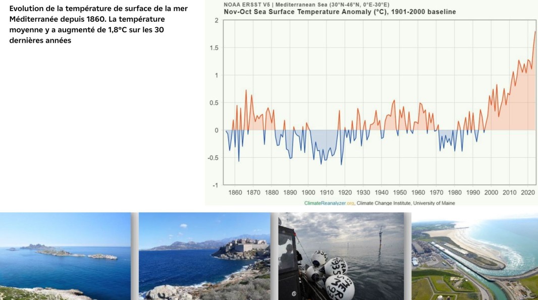 Les milieux côtiers et marins sont très impactés par le dérèglement climatique. Il est donc essentiel d’identifier et d’inventorier précisément et régulièrement la biodiversité présente pour caractériser les changements observés et mettre en place des mesures de gestions adaptées.
