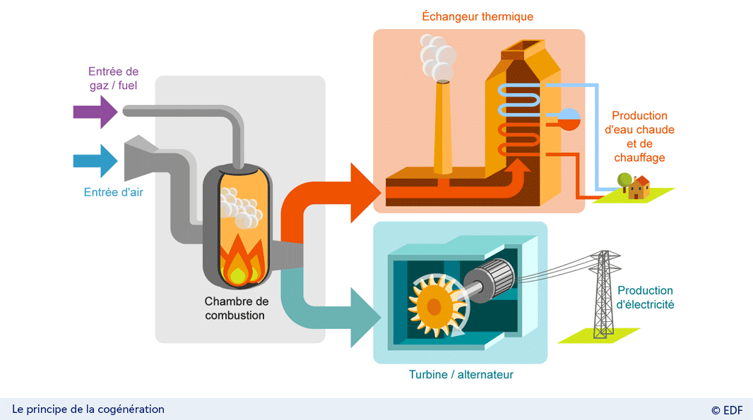 Graphique : Fonctionnement d'une centrale thermique à cogénération. Description ci-dessous