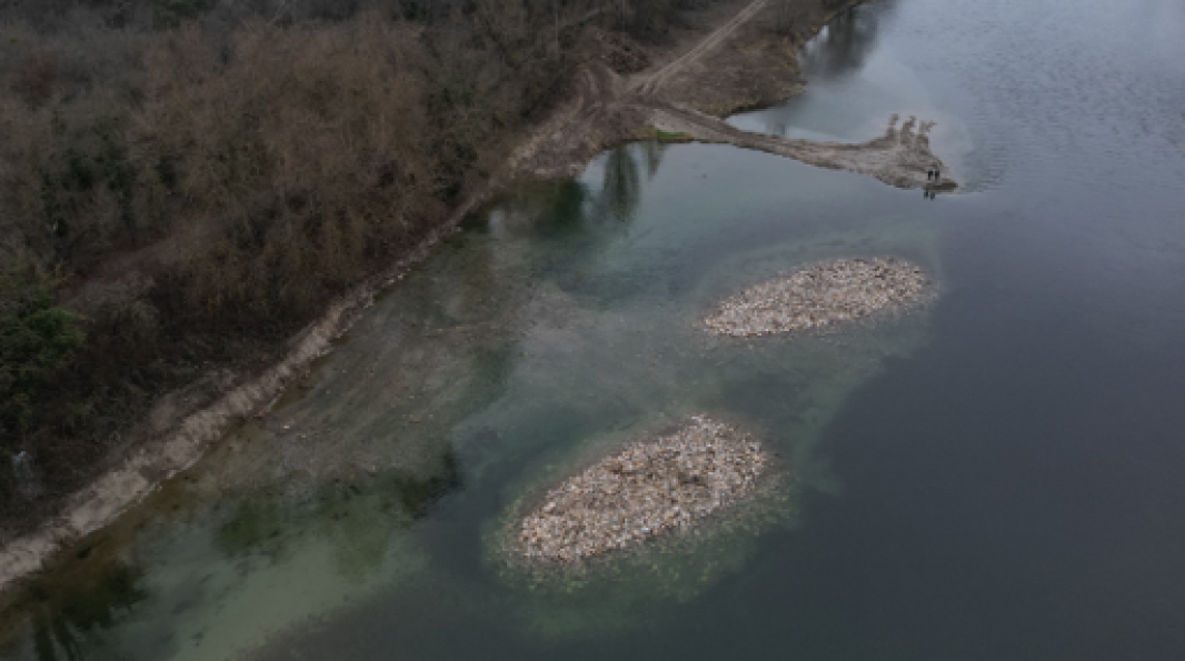 Permettre à la biodiversité de revenir