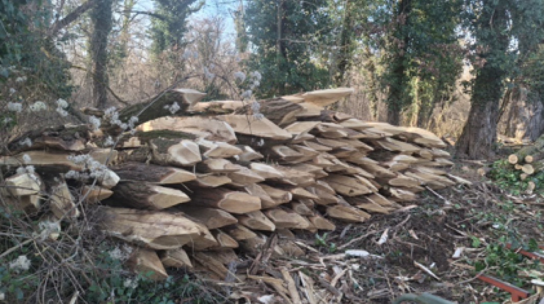 Utilisation de bois local