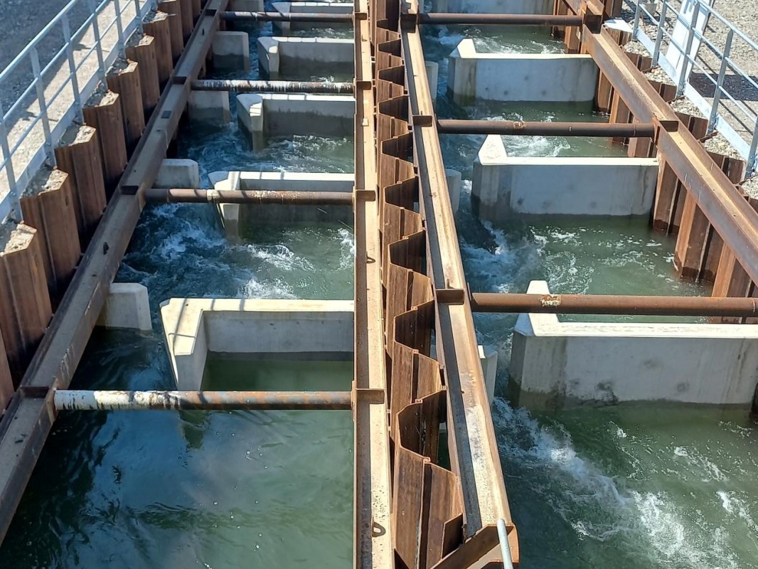 A l'aval de l'usine hydroélectrique, en rive droite