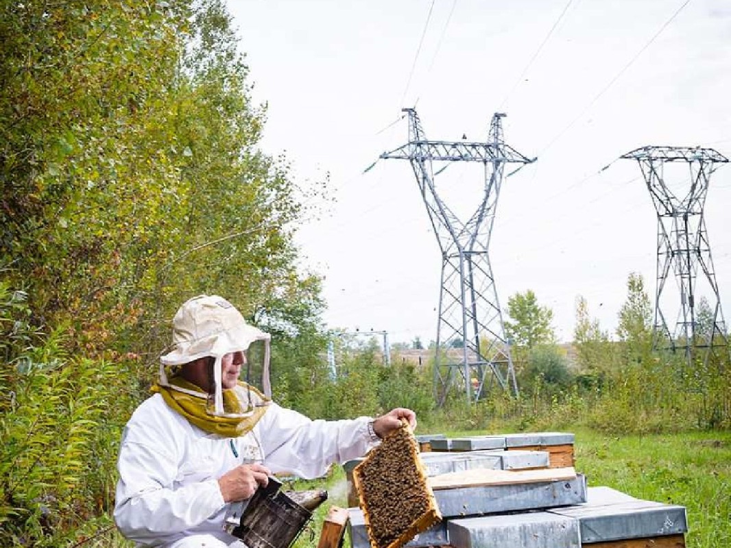 Apiculteur devant une usine hydroélectrique EDF du Rhin