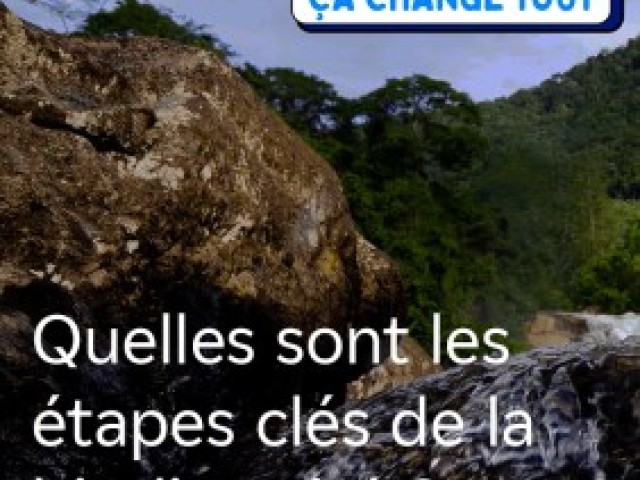 Quelles sont les étapes clés de la biodiversité ?