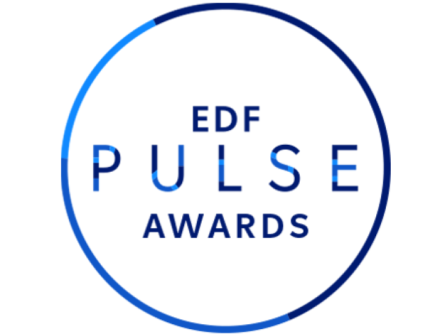 edfpulse_prix2024_hp-pulse_459x344_en.png