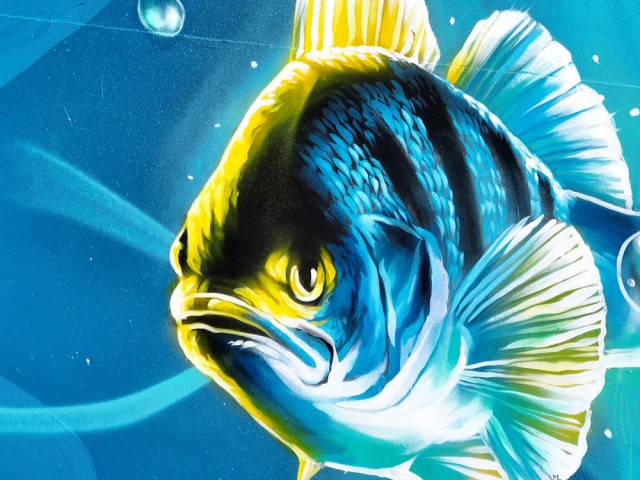 Poisson DAN23 Usine hydroélectrique Rhinau