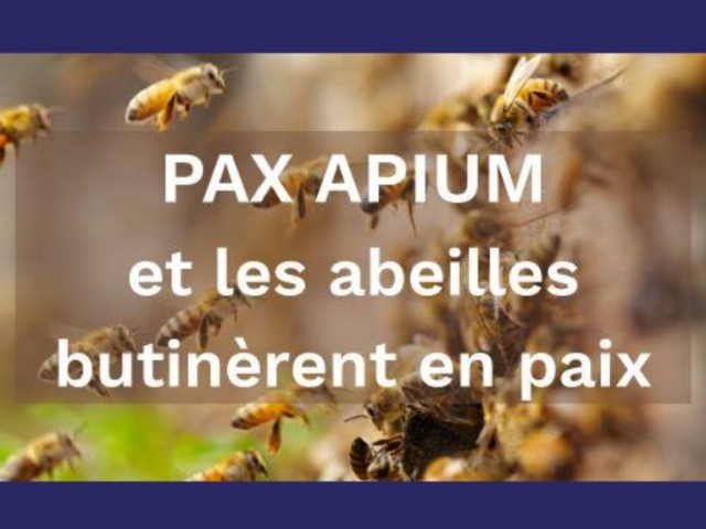 pax apium