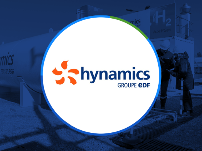 vignette Hynamics