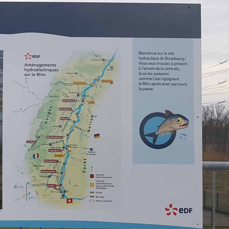 Carte des passes à poissons du Rhin