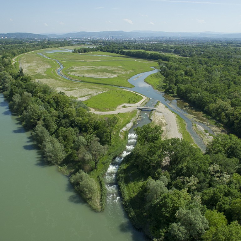 Découvrez le Rhin autrement ! | EDF FR
