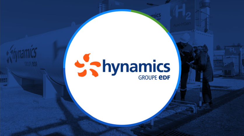 vignette Hynamics